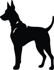 Fototapeta premium Doberman pinscher silhouette