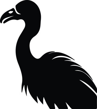 recommend clip art: dodo silhouette