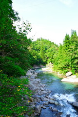 見倉橋から中津川渓谷を望む（新潟県）