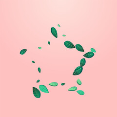green_leaf_pink_background11.eps