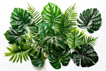 Fototapeta na wymiar Green leaves of tropical plants bush floral arrangement indoors garden nature backdrop isolated on white background - generative ai