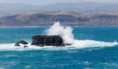 Gran Canaria, Roque Matavinos islet where a small colony of terns is located being washed over by big waves, edge of  Las Palmas
- 770819443