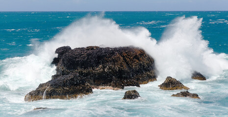 Gran Canaria, Roque Matavinos islet where a small colony of terns is located being washed over by big waves, edge of  Las Palmas
- 770819664