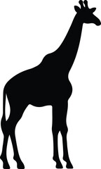Obraz premium giraffe silhouette