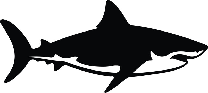 great white shark silhouette