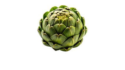 Fototapeta premium Fresh artichoke isolated on Transparent background.