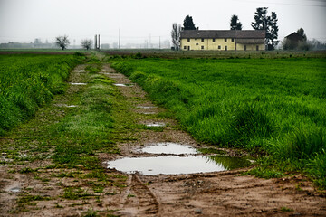 Po Valley with rain, San Giuliano Nuovo, Alessandria, Piedmont, Italy