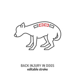 Injuries in dogs. Back trauma icon, pictogram, symbol.