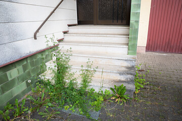 Weeds grow through the grating and the paving joints in front of the house entrance