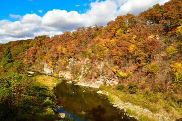 仙台市広瀬川の紅葉（宮城県）