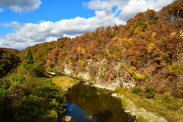 仙台市広瀬川の紅葉（宮城県）