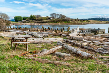 Windjammer Park Landscape 2