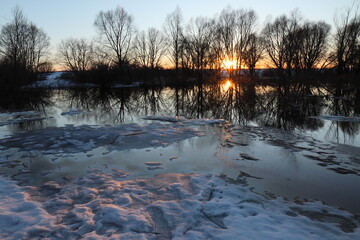 Fototapeta premium Reflections of trees in river water during a flood