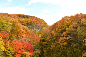 定義山周辺の紅葉（宮城県）