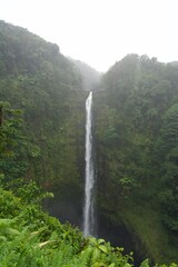 Waterfall in Hawaii