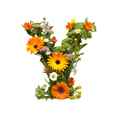 English alphabet letter Y made of flower isolated on white background