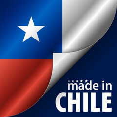 Made in Chile graphic and label.