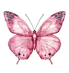 A stunning watercolor illustration of a pink butterfly set against a white backdrop.  