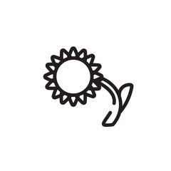 Sunflower Plant Olive Line Icon