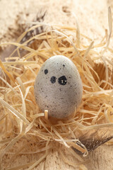 Naklejka na ściany i meble One quail egg standing on straw close up. Beauty in nature on Easter card. Vertical format.