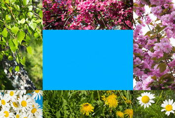 Collage of summer nature. Copy space. Summer background.
