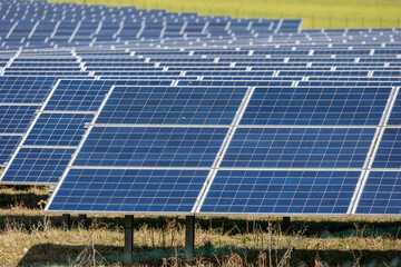 Photovoltaikanlage auf einer landwirtschaftlichen Nutzfläche