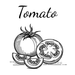 Hand drawn tomato icon and lettering. Vegetables vector icon in old ink style for brochures, banners, restaurant and market menus