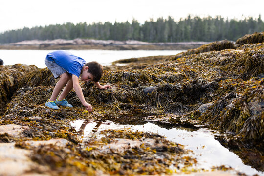 child playing in a tidal pool