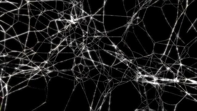Neural Communications.
This stock motion graphics video shows flickering particles moving along neural connections.