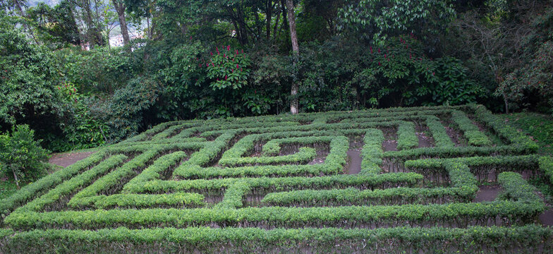 Labyrinth maze in the park calarca
