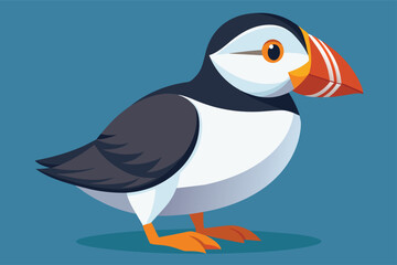 puffin-bird-full-body--vector-illustration eps.eps
