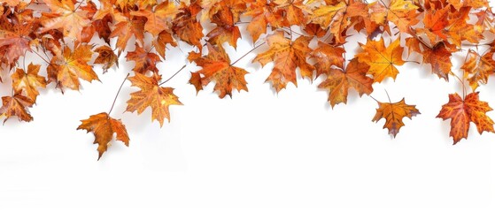 Autumnal maple leaves border isolated on white background, panoramic view Generative AI
