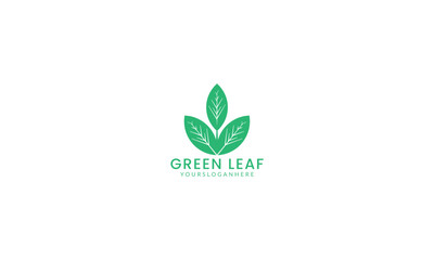 green leaf logo and icon Vector design Template. organic logo
