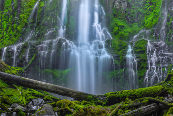 An Encounter With Paradise 1