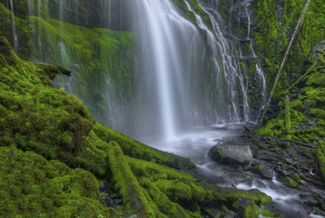 Seeing Beyond The Veil