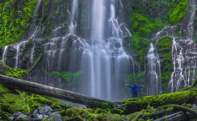 The Euphoria Experience 1