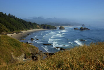 The Oregon Coast