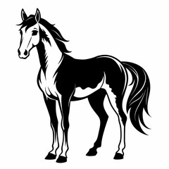 horse illustration