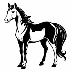 horse illustration