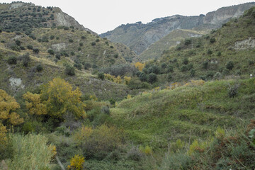 Fototapeta na wymiar Rural landscape at autumn in Calabria, Italy,
