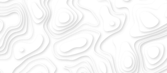 Abstract geometric layered curve line white background. 3d render, paper cut vector art background banner texture. multi layer cutout geometric patterns with smooth wavy layer. white background. 