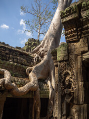 Angkor Thom and Wat - a temple complex in Cambodia, is the largest religious monument in the world....