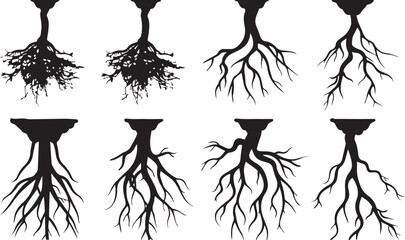 Root Icons Black Silhouette on white background