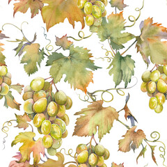 Seamless pattern with green grapes. Watercolor hand painted background. Grapevine illustration.