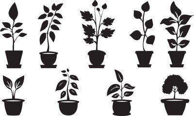 Beautiful plants with leaves black silhouette 
