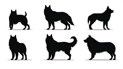 Foto op Plexiglas set of black vector Silhouette illustration of dog © Amena