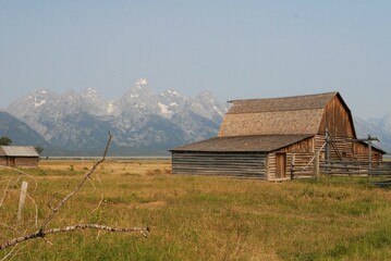 Farm and Field