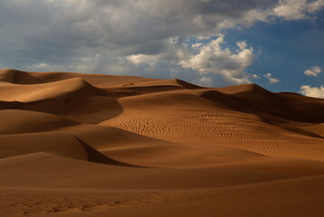 Dunes And Light