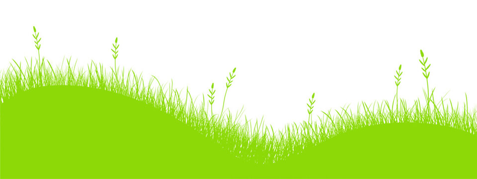 Green vector meadow on isolated background. Easter concept: spring, Easter, holiday. Green grass. Green meadow. Vector illustration EPS 10