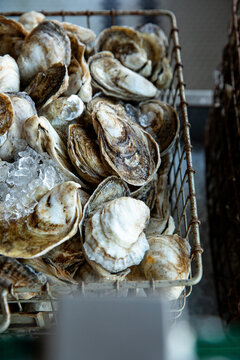 Bin of Oysters